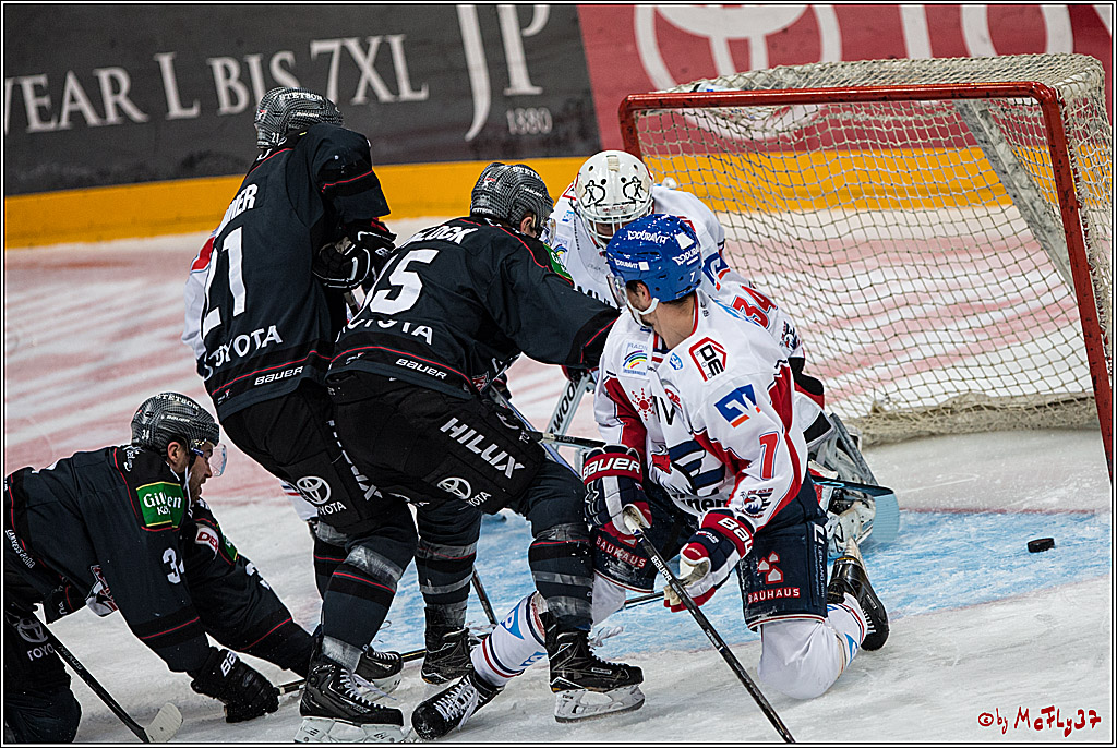 DEL, Koelner Haie - Adler Mannheim, 05.02.2017